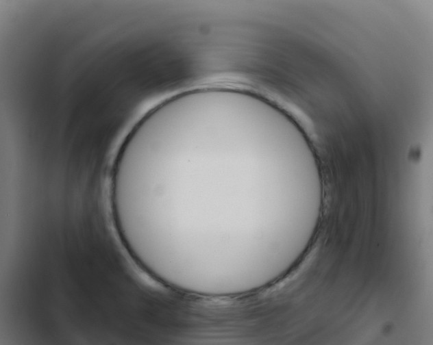 X0000103441470200809121049