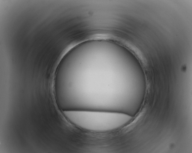 X0000103441473200809121049