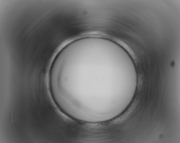 X0000103441474200809121049