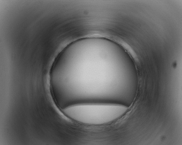 X0000103441476200809121049