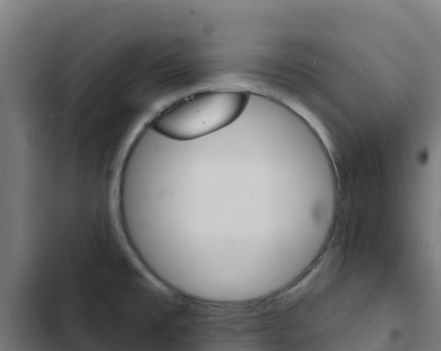 X0000103441477200809121049