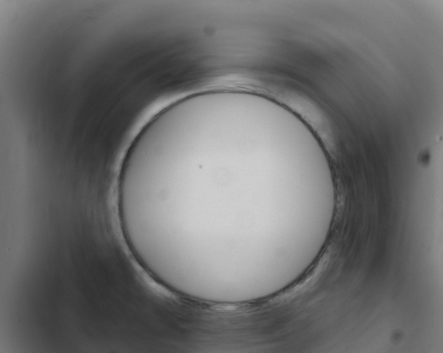 X0000103441478200809121049
