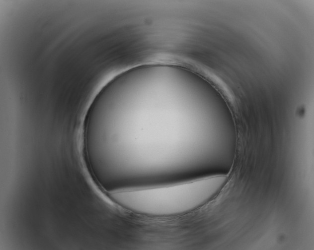 X0000103441479200809121049