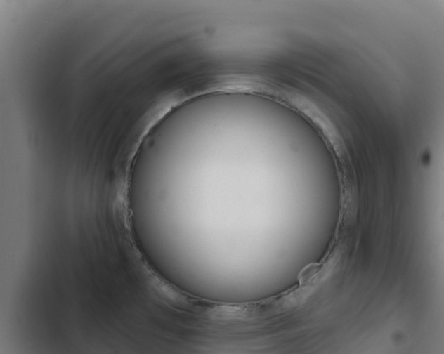 X0000103441481200809121049