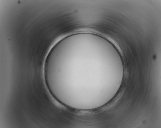 X0000103441482200809121049
