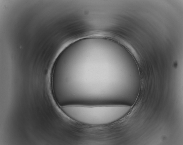 X0000103441483200809121049