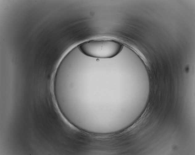 X0000103441484200809121049