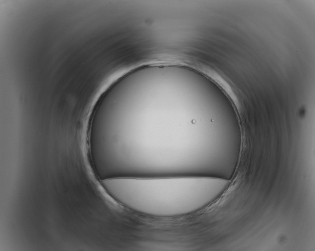 X0000103441485200809121049