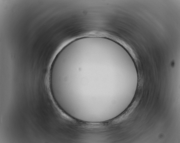 X0000103441486200809121049