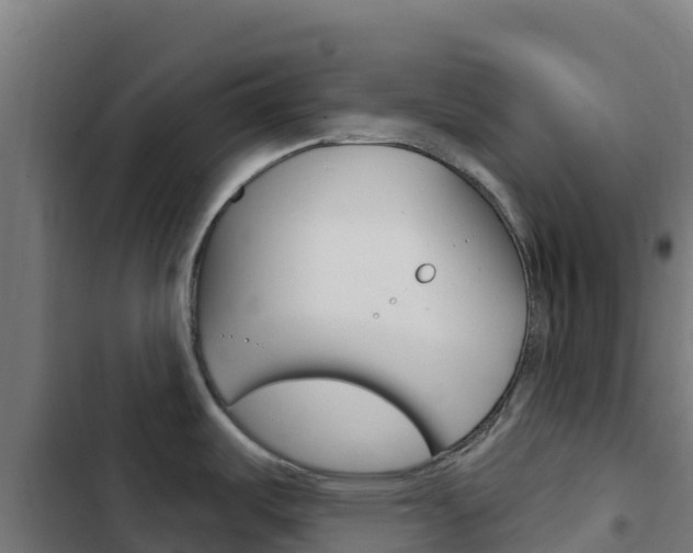 X0000103441487200809121049