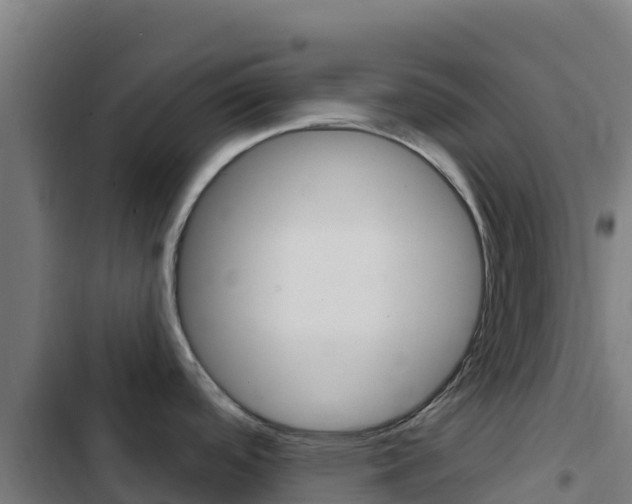 X0000103441488200809121049
