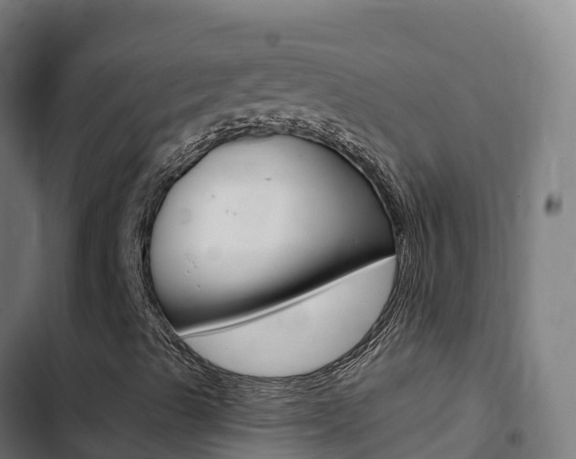 X0000103441489200809121048