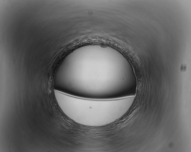 X0000103441490200809121048
