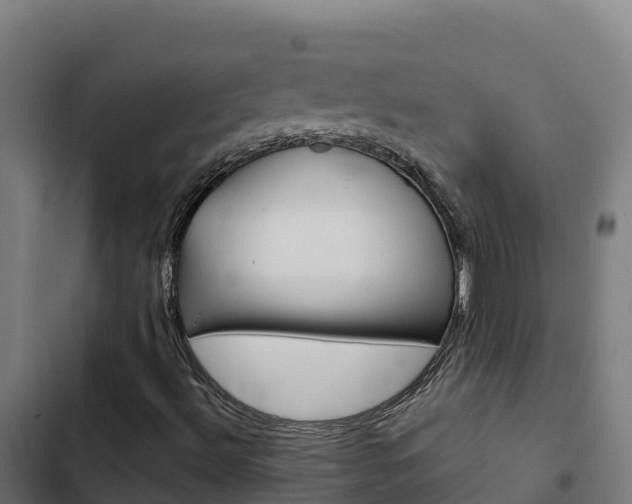 X0000103441492200809121048