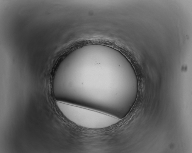 X0000103441493200809121048