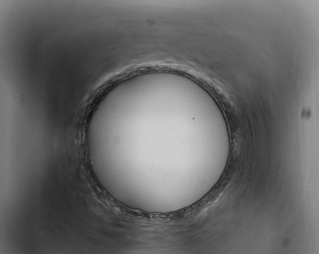 X0000103441494200809121048