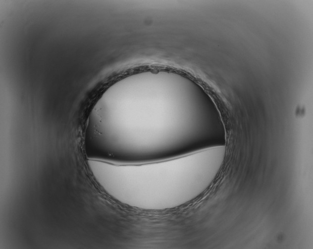 X0000103441495200809121048