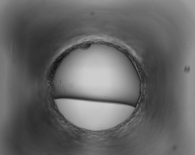 X0000103441496200809121049