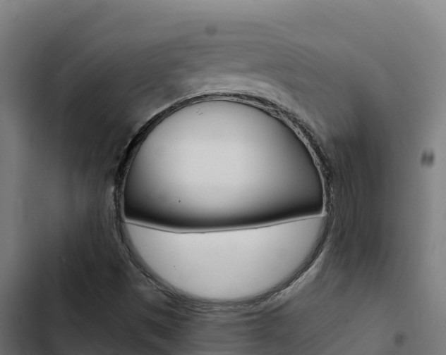X0000103441497200809121049