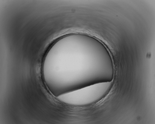 X0000103441499200809121049