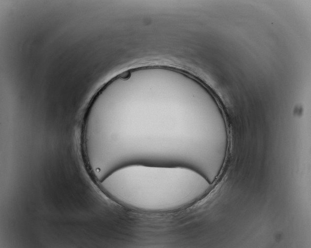 X0000103441500200809121049