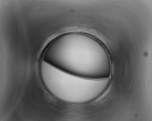 X0000103441501200809121049