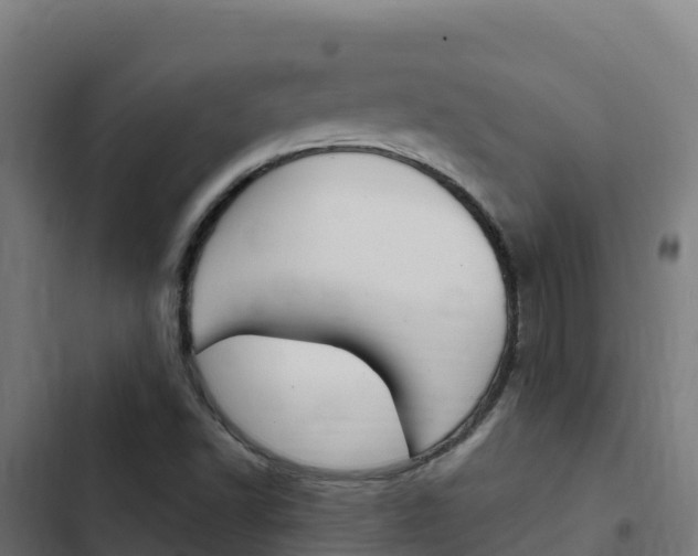 X0000103441502200809121049