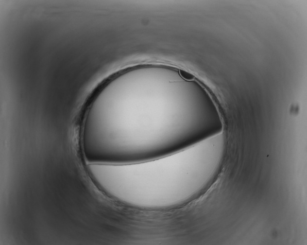 X0000103441503200809121049