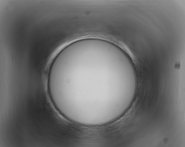 X0000103441504200809121049