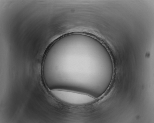 X0000103441505200809121049