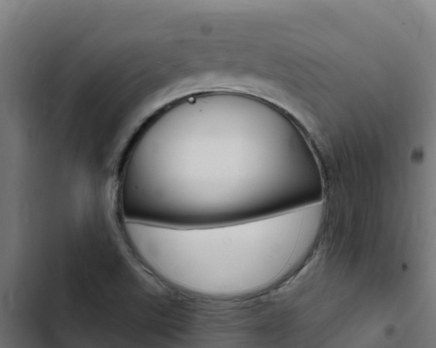 X0000103441507200809121049