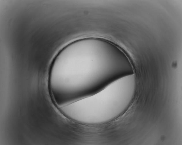X0000103441508200809121049