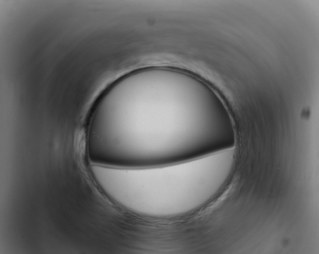 X0000103441509200809121049