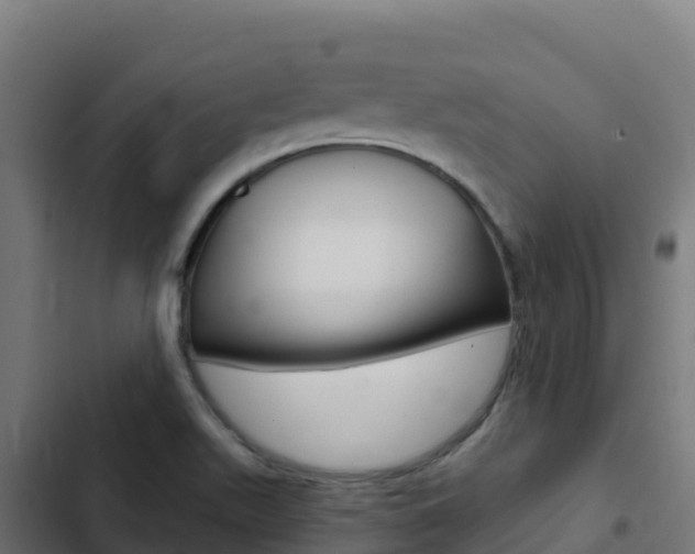 X0000103441511200809121049