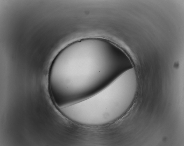 X0000103441512200809121049