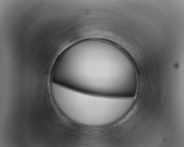 X0000103441513200809121049