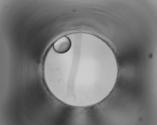 X0000103441514200809121049