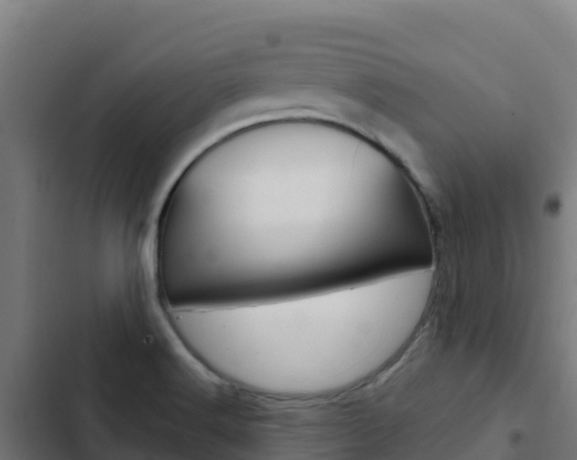 X0000103441516200809121049