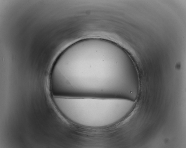 X0000103441517200809121049