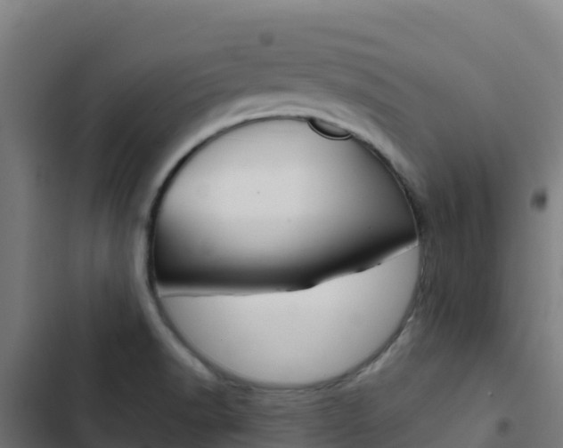 X0000103441518200809121049