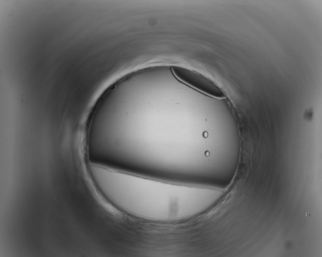 X0000103441519200809121049