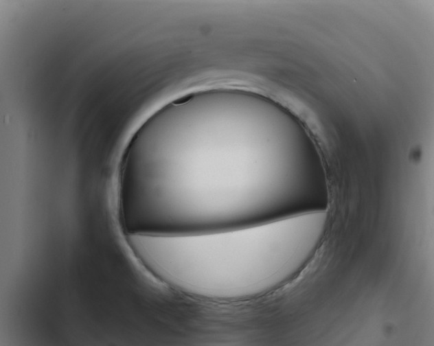 X0000103441520200809121049