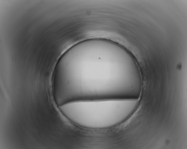 X0000103441521200809121049
