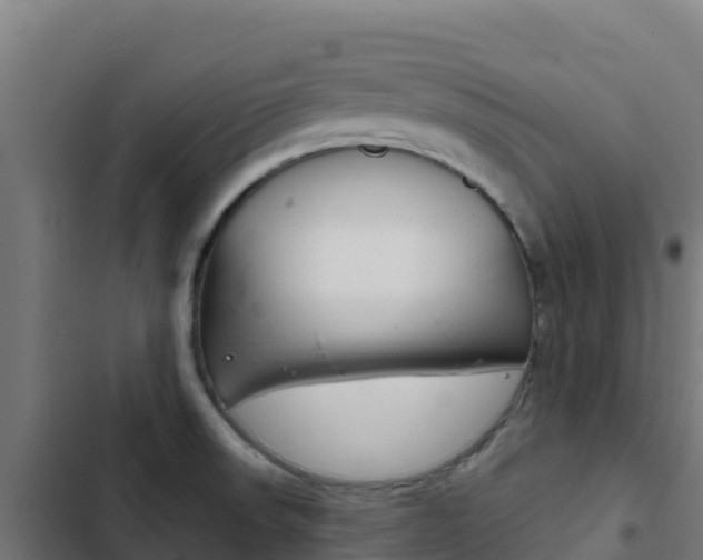 X0000103441523200809121049