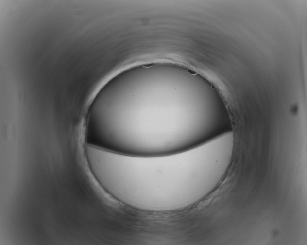 X0000103441524200809121049