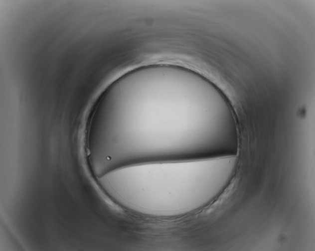 X0000103441525200809121049
