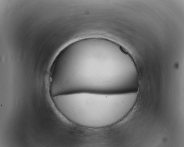 X0000103441526200809121049