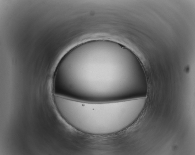 X0000103441527200809121049