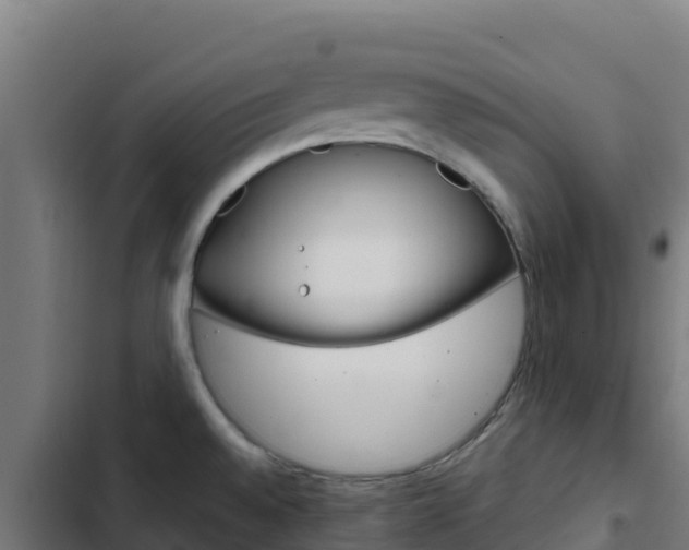 X0000103441528200809121049