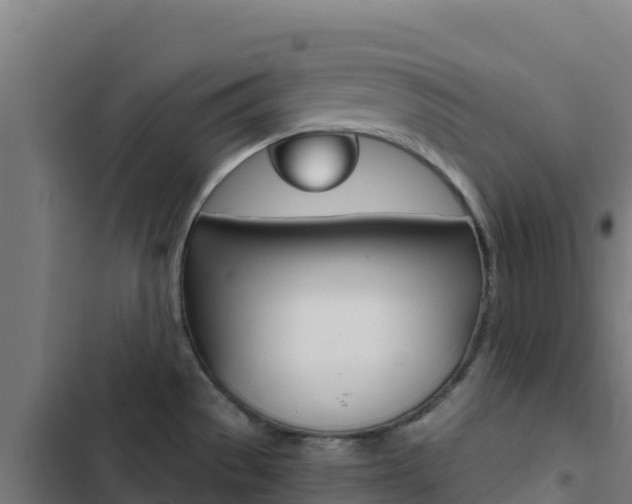 X0000103441529200809121049
